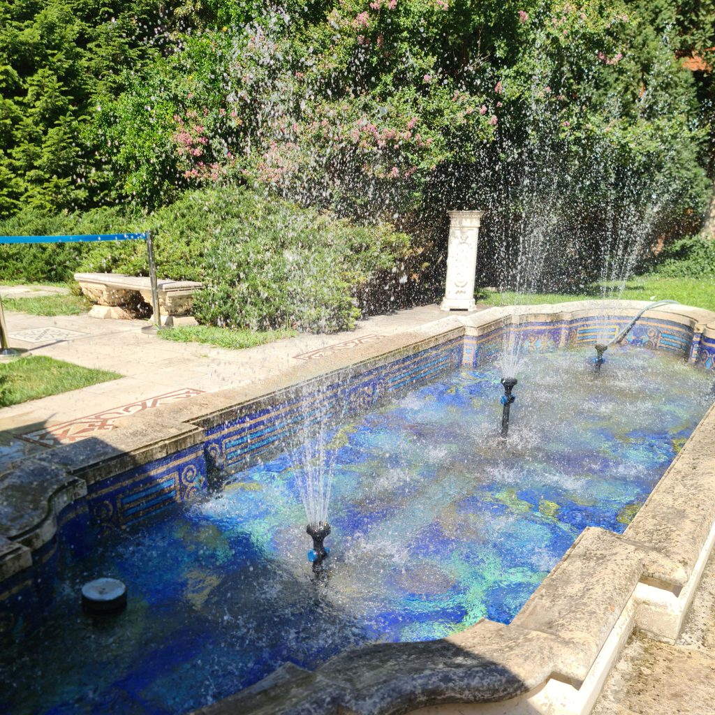 Pool deck and pool area